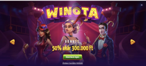 image of winota casino website