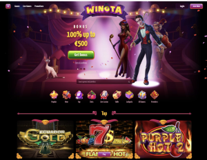 image of winota casino website